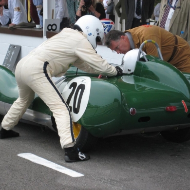 Goodwood 2010 strapping in Whizo